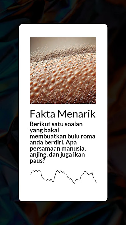 Berikut satu soalan yang bakal membuatkan bulu roma anda berdiri. Apa persamaan manusia, anjing,...