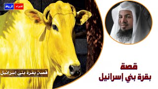 قصة بقرة بني اسـ ـرائيـ ـل | الشيخ محمد الشنقيطي