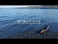 湖の静かな水の音 | 3時間 Water sound | ASMR | 睡眠