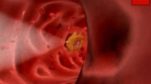 Lego Mindstorms Futuristic Video 7 (Doctriods)