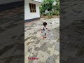 Picha Picha Vekum Picha Picha Vekum