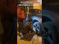 Audi car servicing cost shock #kuwait #kuwaitcity #trending #viralvideo #shorts #audicar