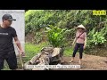 Genius CEO Restores Friend's Motorbike that was Abandoned for 5 Years. Will the Girl Succeed?