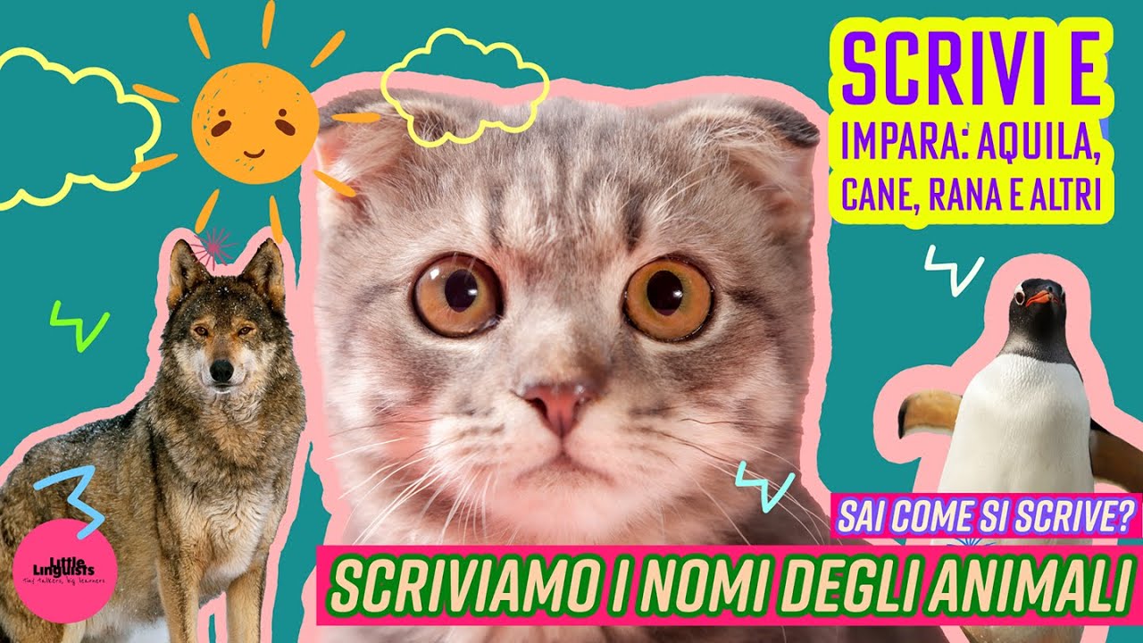 🦅🐶🐸 e parole in inglese! | Sai come si scrive?| Animali e spelling