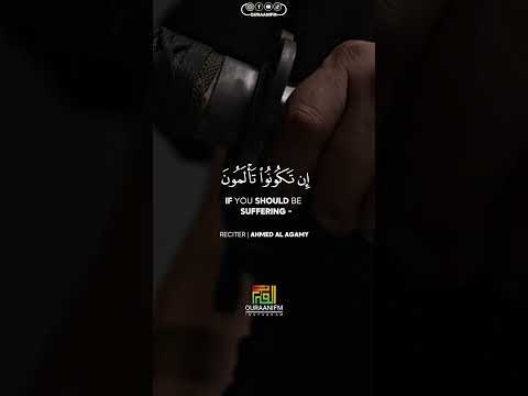 ولا تهنوا في ابتغاء القوم احمد العجمي