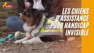 Les Chiens d'assistance pour handicap invisible