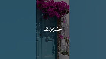 من تلاوات الشيخ عبدالودود حنيف #quran