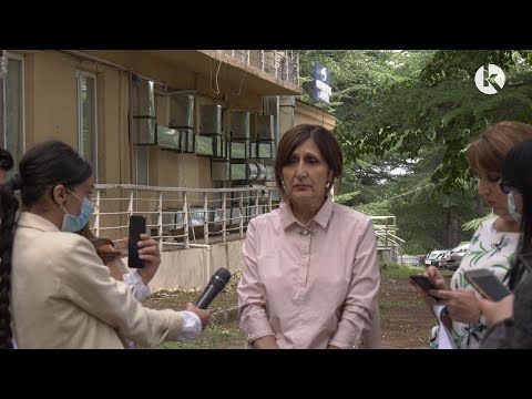 ნელი ხიზანიშვილის ბრიფინგი