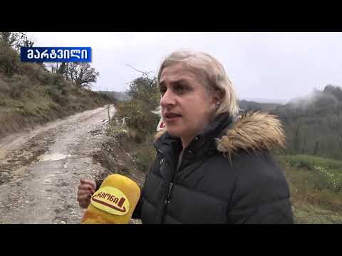 მარტვილის მუნიციპალიტეტის სოფელ ჯოლევში წლებია  უგზოობას უჩივიან