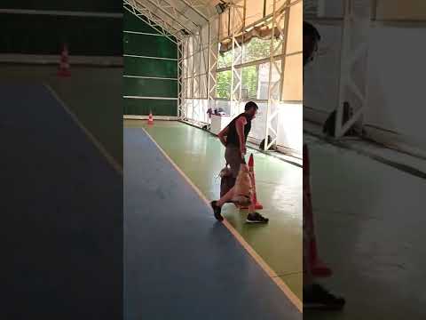 Bekçilik Parkuru Güncel