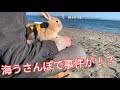 #22① 海うさんぽで事件が！？初体験の海にテンション爆上がりネザーランドドワーフのうさぎのぽっけが海岸の浜辺を走り回る！？rabit bunny go to the sea first time!