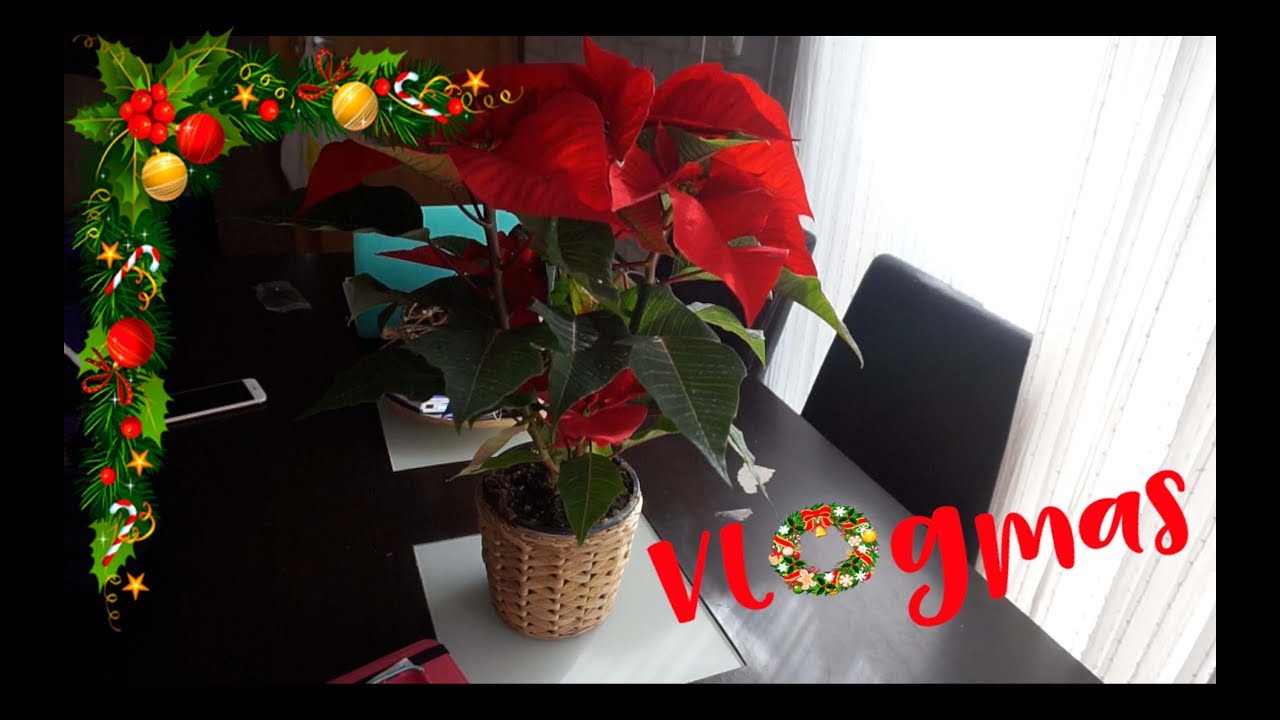 🎄Limpieza de CASA + CAFE con amigas | VLOGMAS 5 | #VLOGMAS249 camera iphone 8 plus apk