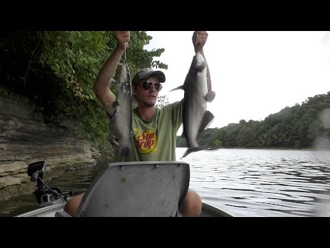 Video Limb line catfishing