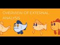 External Analysis Overview