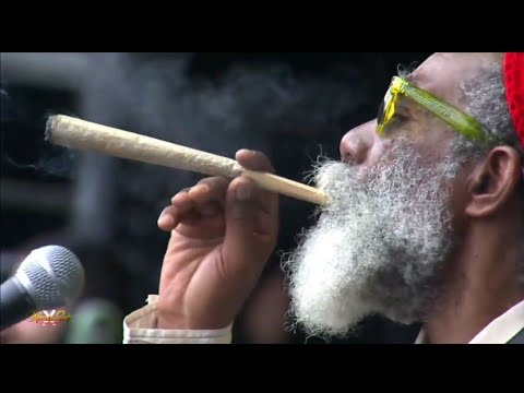 Don Carlos   Movin To The Top Live at California Roots 2019