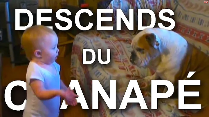 DESCENDS DU CANAP -  PAROLE DE BB (ft. Cynthia Alr)