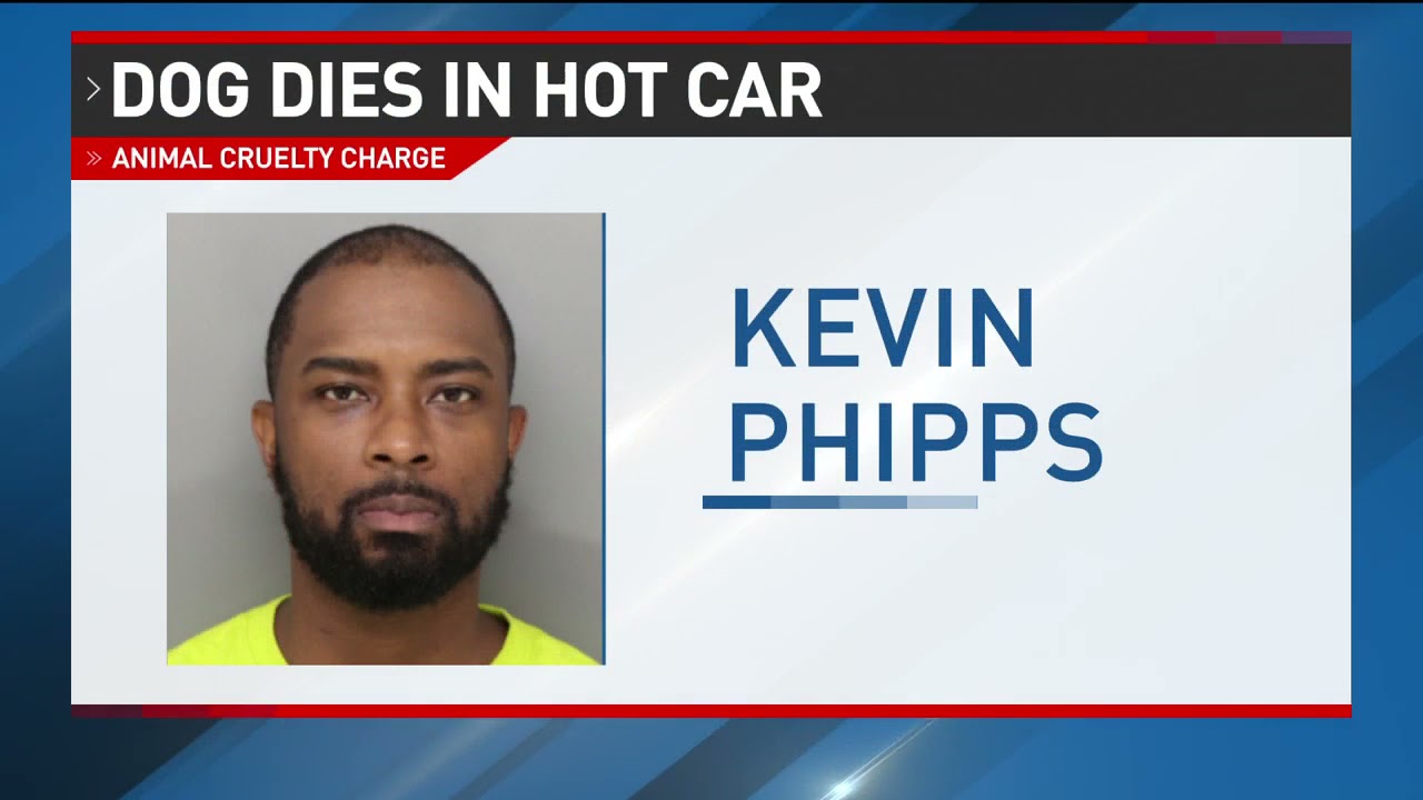 Man charged with animal cruelty after dog dies in hot car - YouTube