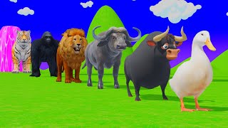 Long Slide Game with Dinosaur Lion Cow Hippopotamus Gorilla 3d Animal Game Funny 3d Animals screenshot 3