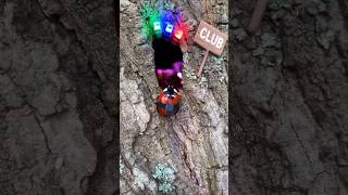 The ladybug party #ladybug #ladybird #pov #party #partytime #gopro #fpv #insect #festa #animals