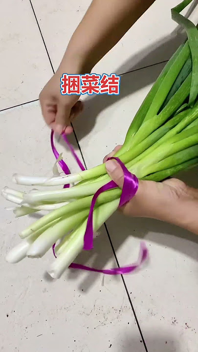 7389259381054901519.mp4