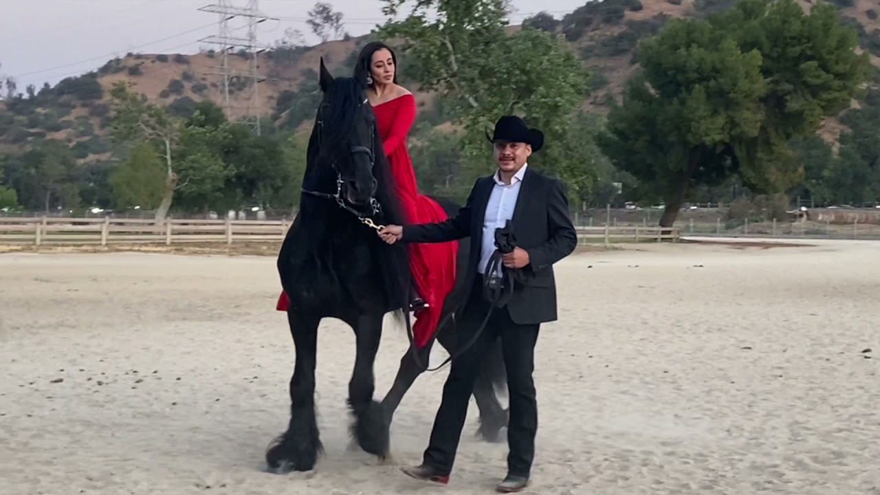 FOUR LEGS ON SET  Engagement shoot with Douley and Patrón