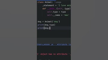 Secret Way of Creating attributes Public, Protected or Private in Python #python #oop #attributes
