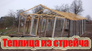 картинка: Теплица из стрейча - результаты сезона