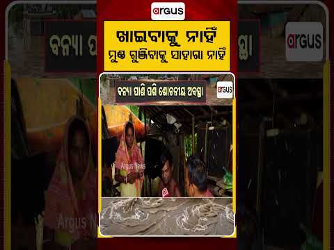 ଖାଇବାକୁ ନାହିଁ ମୁଣ୍ଡ ଗୁଞ୍ଜିବାକୁ...| Brahmani Flood : Villages Submerged, Houses Collapse | Argus News