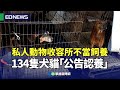 私人動物收容所不當飼養 134隻犬貓「公告認養」｜👍小編推新聞20240220