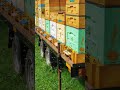 Облёт пчёл а не рой #пасека #пчеловодство #bienenhaus #пчёлы #облёт #рой #мед #качёвка #топ #вау
