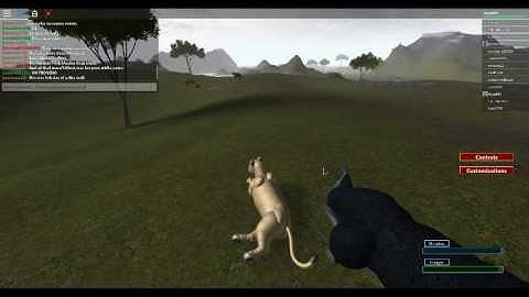 another day in the survival (pre-alpha testing)