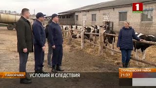 Генеральная прокуратура выявила причины падежа скота и потерь сельскохозяйственной продукции