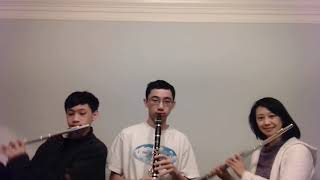 Chamber Music Series Handel Ballo