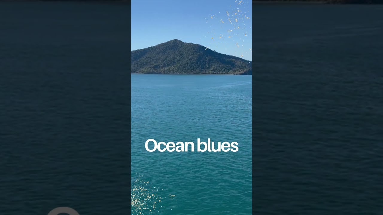 💙🚢 **The only blue I want is the ocean blue from a cruise ship.**