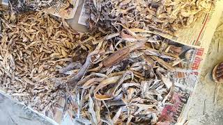 Amazing Village Smart Boy Fishing With Hook Traditional Hook Fishing Pbl6Anka