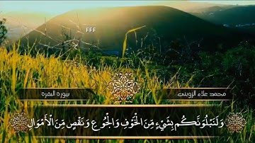 محمد علاء الزويني سورة البقرة يا أيها الذين آمنوا استعينوا بالصبر والصلاة