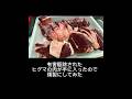 有害駆除されたヒグマの肉が手に入ったので燻製にしてみた #ジビエ料理 #熊肉料理 #燻製料理