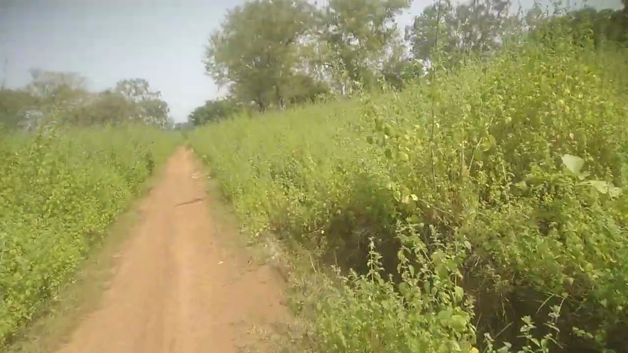 Beautiful Village Life | Peaceful Nature, Traditional Farming & Slow Travel Experience