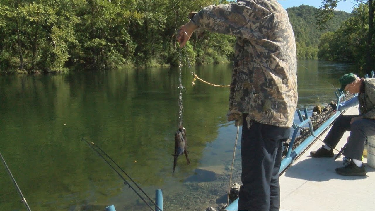 South Holston Fishing Ramp - YouTube