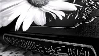 سورة الروم الشيخ  القارئ هاني الرفاعي