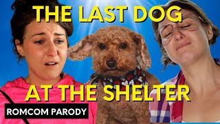 Dog Park Rom-Com - Part 3 (Valentine's Movie Parody)