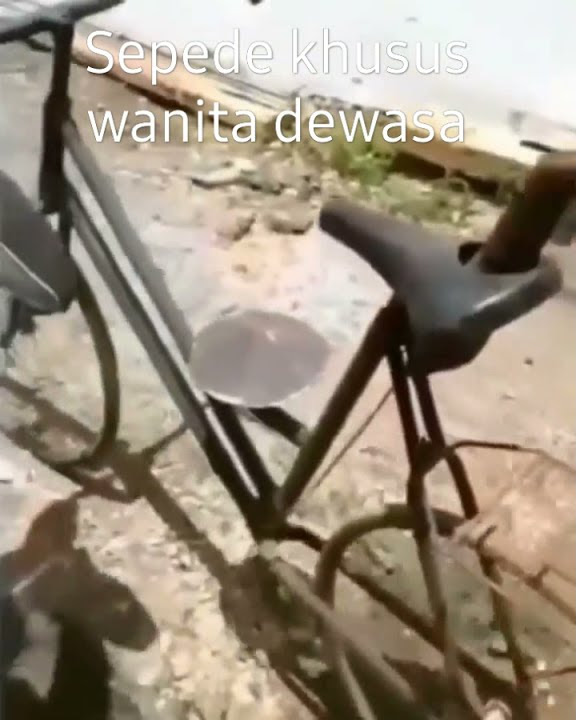 sepeda khusus wanita dewasa