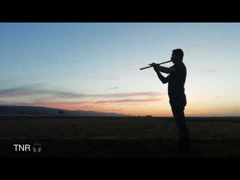 Sarı Gelin -
