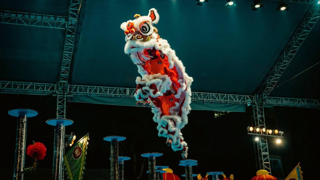 🦁 PHƯỚC ANH ĐƯỜNG - TP. HỒ CHÍ MINH | BẢN SẮC ĐÔ THỊ TRÊN MAI HOA THUNG! GIẢI LÂN SƯ RỒNG QUỐC TẾ