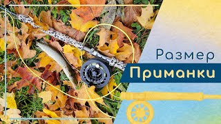 картинка: Снова разговор про двуручную щуку