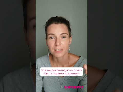 МИФЫ О И СЫРЫХ РАЦИОНАХ СОБАК И КОШЕК