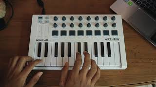 Tones And I - Dance Monkey Nevin Thomas Loop Cover