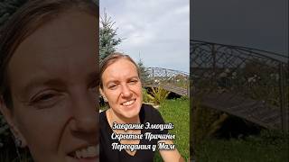 Заедание Эмоций: Скрытые Причины Переедания у Мам