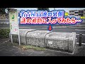 【貴重】名古屋高速の裏側に潜入！