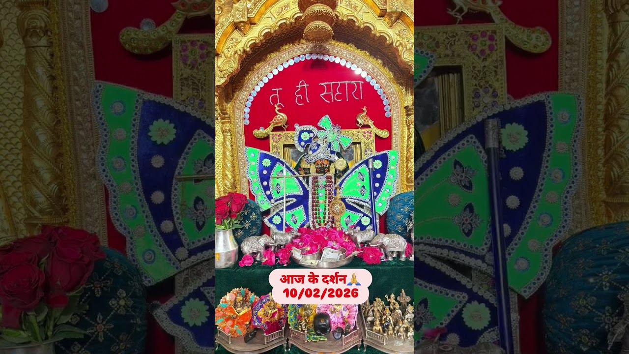 Sanwriya Seth Mangla Aarti Drshan Today 